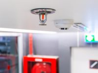 AdobeStock_201264360