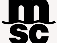 Screenshot 2025-07-26 002615